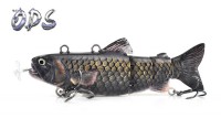 Carp Fish Mount