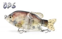 620(Transparent)